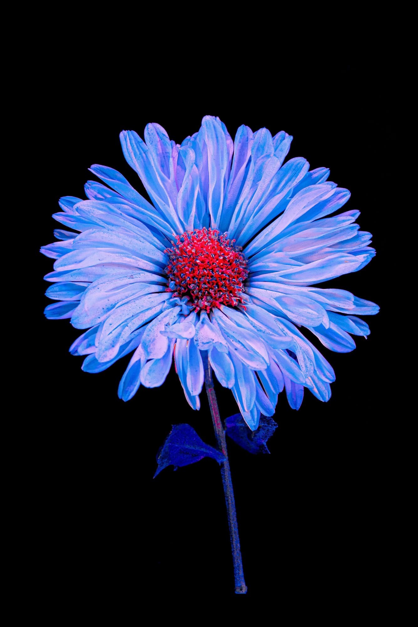 Partner Visa Evidence: Social Aspects Guide 2025